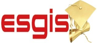 Logo ESGIS
